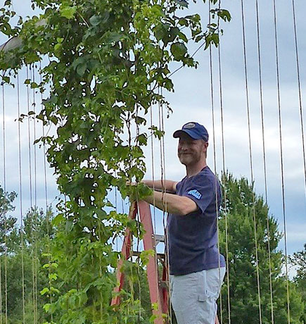 Hop Harvest